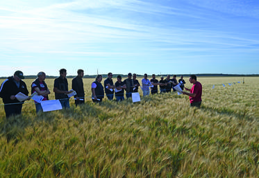 Frédéric Cadoux, conseiller au pôle grandes cultures de la chambre d'Agriculture, a présenté aux agriculteurs présents les différents fongicides testés. 