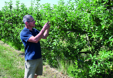 Laurent Ducrot, arboriculteur à Mont-près-Chambord, scrute les fruits de son verger. 
