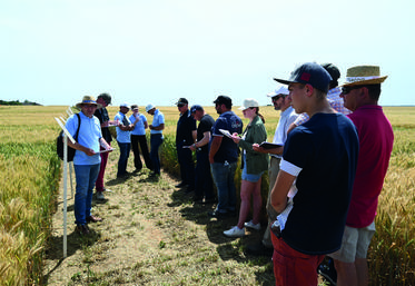 Jeudi 16 juin, à Ouzouer-le-Marché. Visite des essais blé tendre, présentés par Cyrille Gaujard, ingénieur régional Arvalis. 
