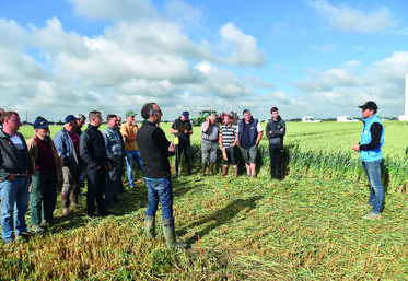 Jouy-sur-Morin, jeudi 9 juin. Plateforme technique, village des fournisseurs et gouvernance de la coopérative Cérèsia étaient au programme de la journée Champ d'avenir.