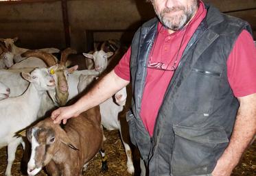 Les éleveurs subissent «	un chantage à la non-collecte des chevreaux afin qu’ils les donnent, c’est inadmissible	!	», juge Franck Moreau. 