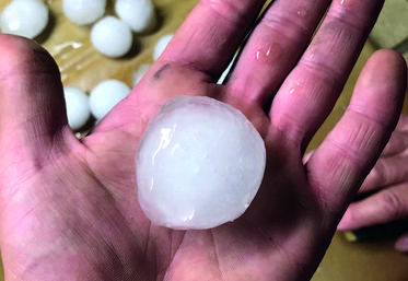 Photo prise par un membre de Jeunes agriculteurs du Loiret après l'orage de grêle du 19 juin.