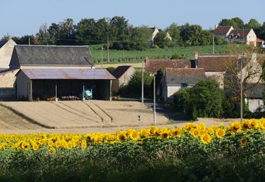 Le compromis de cession permet au cédant d'avoir l’assurance de pouvoir revendre les éléments de son exploitation, aux prix et conditions qu’il aura fixés avec son repreneur.