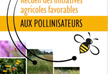 La FNSEA publie son recueil des initiatives favorables aux pollinisateurs. 