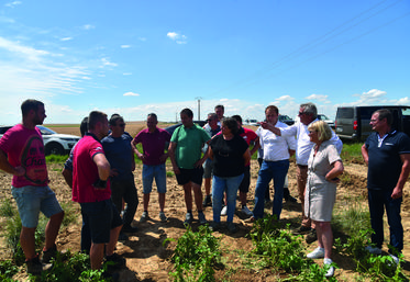 Garentreville, jeudi 23 juin. Valérie Lacroute découvre une parcelle de pommes de terre totalement ravagée par la grêle. De nombreux agriculteurs du secteur, plus ou moins touchés, sont présents.