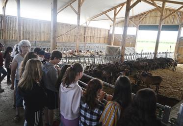 Lundi 4 juillet, à Selles-sur-Cher. Les élèves du collège de la commune ont visité la chèvrerie de Marie-Frédérique Péré grâce au programme mené par la Société départementale d’agriculture. 