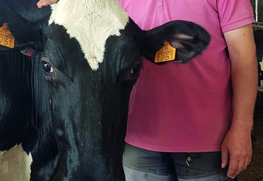 Alexis Descamps préside la section bovins lait à la FNSEA Centre-Val de Loire.