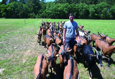 Aymeric Avonts possède un cheptel d'une soixantaine de chèvres. Avec leur lait, il fabrique des fromages qu'il commercialise principalement en vente directe à la ferme, à Pruniers-en-Sologne.