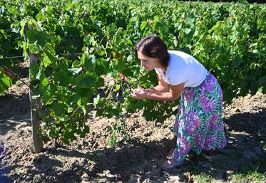 Aude Clavier, la gérante du domaine Divin Loire à Oisly, et ses 9,5 hectares de vignes accueillent régulièrement des clients en vente directe.
