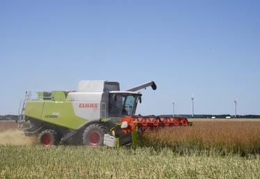 Vendredi 8 juillet, à Garancières-en-Beauce. Dans le cadre de l'entraide, Pascal Laya bat la parcelle de colza d'un ami.