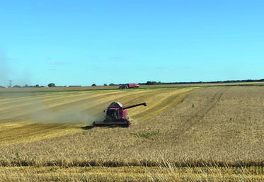 La moisson est terminée dans le département et des tendances se dessinent, sans résultats définitifs pour l'instant.