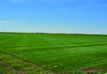 Préparation du terrain de rugby à Outarville (Loiret) pour les Terres de Jim en Beauce qui se tiendront les 9, 10 et 11 septembre.
