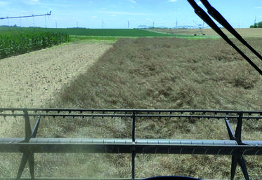 À bord de la moissonneuse dans le Pithiverais avec le membre de Jeunes agriculteurs 45 Clément Mercier.