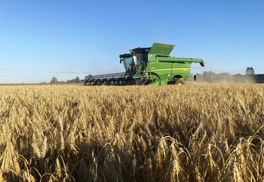 Début juillet à Saint-Martin-en-Bière (Seine-et-Marne).