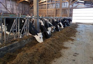 En ensilant l’herbe tôt, la valeur alimentaire de l’herbe et sa richesse en protéines sont préservées.