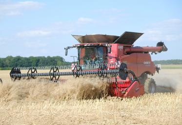 La bonne surprise de l'année est le colza avec des rendements inattendus.