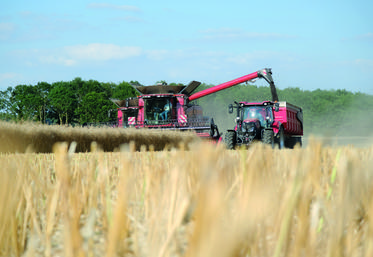 Le 21 juillet, à Saint-Germain-le-Gaillard. Pas de pluie, pas de pression. Une quinzaine de jours de travail auront permis de venir à bout de la moisson en Eure-et-Loir cette année.