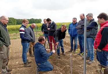 L'Association des viticulteurs et vinificateurs d'Île-de-France a réuni ses adhérents en « tours de vignes » à trois reprises cette année et compte poursuivre cette dynamique.