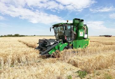 Récolte de l’essai variétés blé dur : la culture emblématique du secteur du GDA* Loire-Beauce.