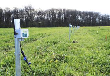 Des sondes capacitives et tensiométriques ont été installées au cSur des microparcelles d’essais sur l’irrigation des prairies.