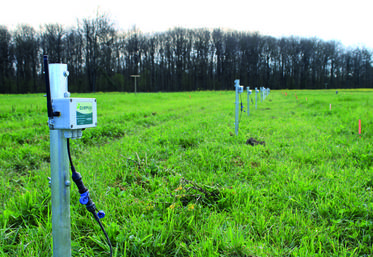 Des sondes capacitives et tensiométriques ont été installées au cSur des microparcelles d’essais sur l’irrigation des prairies.