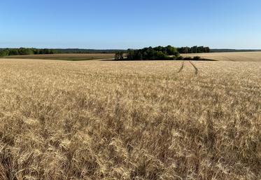 Deux dérogations inhérentes aux BCAE ont été obtenues pour 2023. 