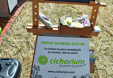 En juin dernier, à Saint-Germain-Laxis (Seine-et-Marne). À l'occasion du salon Tech&bio, la société Endibio a présenté le matériel qu'elle commercialise pour produire des endives bio sans terre.
