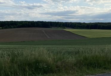 Les cultures dérobées ont le droit à des dérogations permettant d'allonger le temps de semis. 