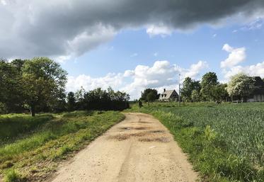 L'élagage des chemins ruraux doit être réalisé pour permettre aux véhicules et promeneurs de circuler. 