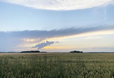 Salarié, conjoint collaborateur ou aide familial : différentes options sont possibles.