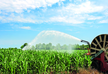 À partir du taux d’humidité des grains, du type de sol et de l’historique de ­pluviométrie et d’irrigation sur la parcelle, Irristop détermine les besoins ­restants en eau.