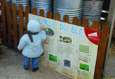 Lors de Terres de Jim, les organisateurs ont décidé de consacrer la journée du vendredi aux publics scolaires, de la maternelle au lycée.