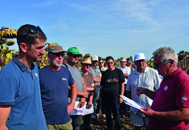 Touquin, jeudi 25 août. Après un point en bout de champ, les participants ont suivi une visite détaillée de la parcelle d'essais tournesol.