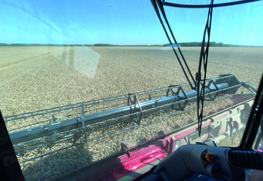 Marquée par une forte hétérogénéité, la moisson 2022 est au final dans les clous de la moyenne de référence.