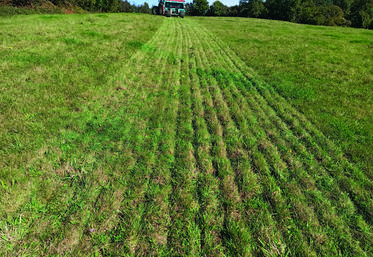 Les mélanges ont été semés en octobre avec un outil de semis direct.