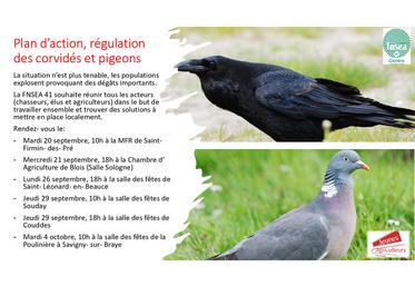 Les dégâts de gibier causent de nombreuses pertes sur diverses exploitations du territoire de Loir-et-Cher.