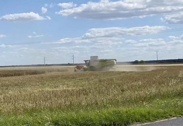 La moisson 2022 a été précoce et s'est avérée très hétérogène en Loir-et-Cher selon Axéréal.