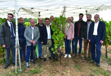 Aux Granges-le-Roi (Essonne), le 9 septembre. Les agriculteurs essonniens et yvelinois diversifiés en vignes ont donné le coup d'envoi symbolique de leur première récolte. 
