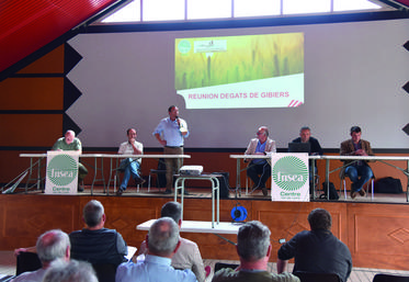 Réunis à Saint-Benoît-sur-Loire le 23 septembre, la FNSEA 45 et la FDC 45 ont pu échanger avec les agriculteurs du département sur la problématique des dégâts de sangliers.