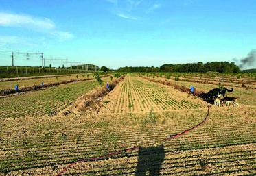 Ici, la parcelle en mai 2022 juste après le semis du gazon. 