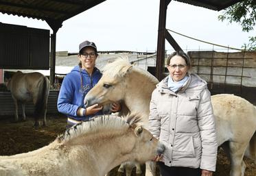 Les deux sSurs, Amandine Peterson et Julie Delapierre, gèrent le Haras d'Auvine hérité de leur grand-père. 
