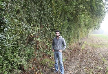 François Caillon exploite ses 10 à 15 km de haies grâce à l'activité de bois déchiqueté qu'il a en supplément de son exploitation agricole.