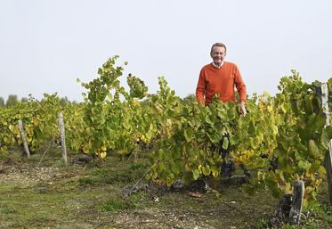 Henry Marionnet est un vigneron passionné qui a su, durant toute sa vie, innover. 