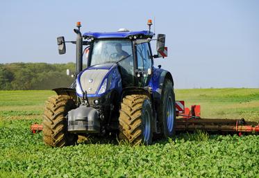 Dès son arrivée à la ferme en août, le nouveau New Holland T7 HD est parti au champ pour les déchaumages. Il a déjà plus de 300 heures à son actif.