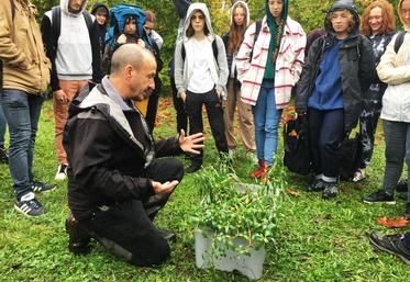 Vendredi 14 octobre, à Amilly. Les élèves du Chesnoy participent à un atelier de reconnaissance des végétaux animé par le CBNBP, l’Inrae et LNE.