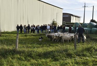 Mercredi 19 octobre, à Amilly. Un groupe d'élèves assiste à une démonstration de chien de berger décrit comme «	un atout dans le travail de tous les jours.	»