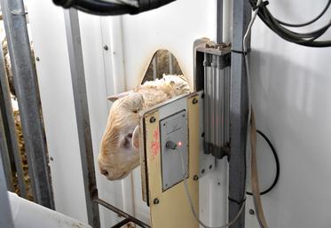 Le dispositif expérimental inauguré le 6 octobre à l’Inrae de Bourges est une première en Europe.