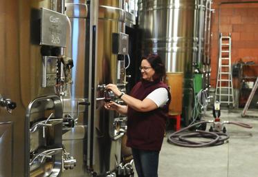 Anne Josseau, gérante du domaine des Tabourelles vinifie elle-même son propre vin et le commercialise depuis sa reprise du domaine familial en 2009.