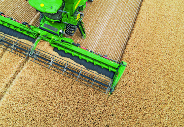 Les coupes articulées disposent de tapis d’alimentation convergents qui régularisent le flux de récolte et optimisent le fonctionnement de la moiss-batt. 