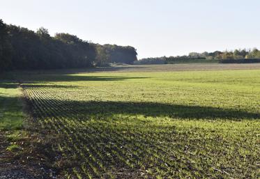 Sauf cas très rare de résiliation judiciaire, le bail à long terme offre l’assurance au preneur d’exploiter pour dix-huit ans minimum les biens loués.